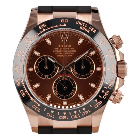 rolex cosmograph daytona everose gold chocolate dial oysterflex